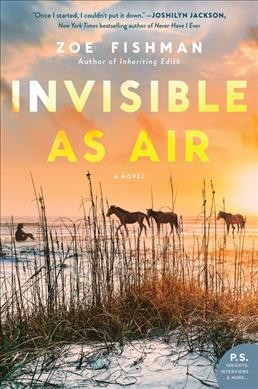 Invisible as air : a novel / Zoe Fishman.