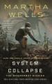 System collapse Cover Image